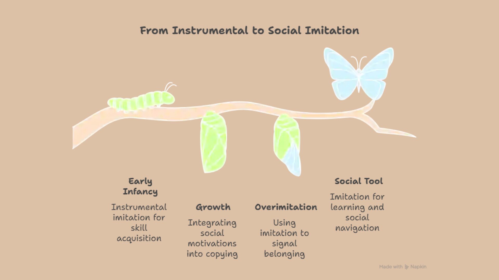 A horizontal diagram shows the metamorphosis of a butterfly on a branch. It represents the stages of imitation in toddlers, from a caterpillar ("Sensory-Motor Imitation") to a chrysalis ("Observational Learning") and finally a butterfly ("Intentional Imitation").