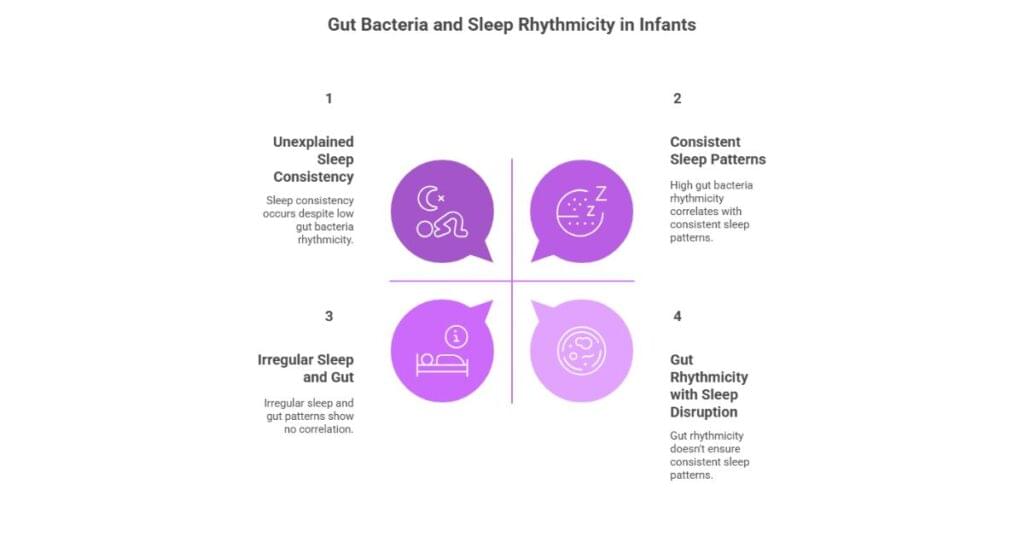 Gut bacteria and sleep rhythmicity in Infants 