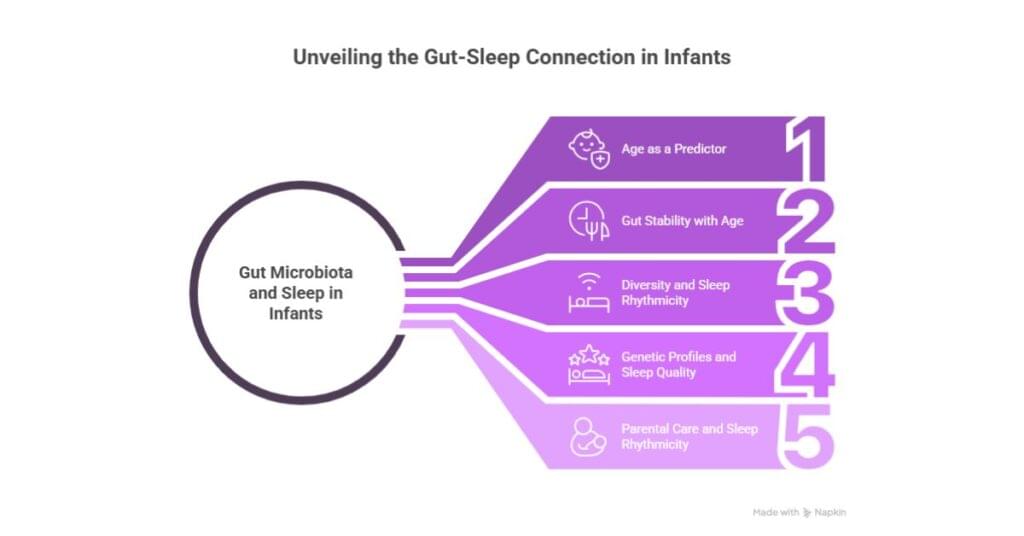 Unveiling the Gut-Sleep connections in Infants 